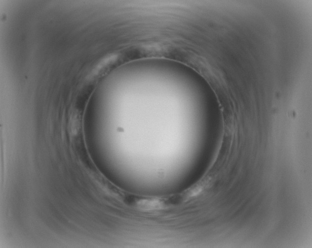 X0000081490133200701262103