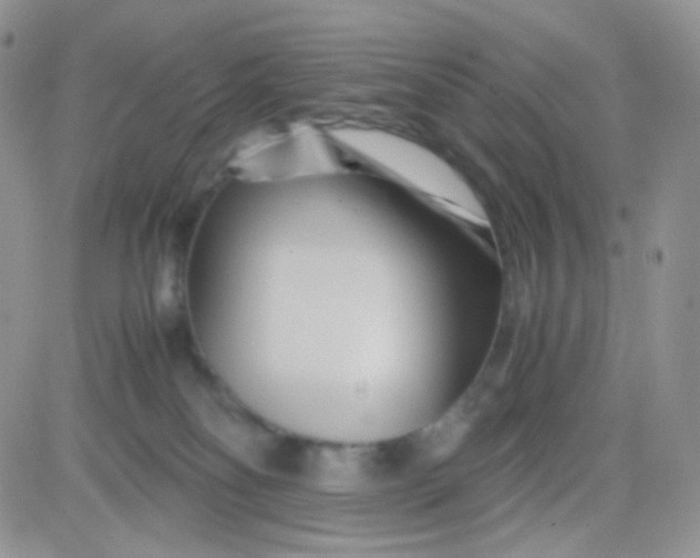 X0000081490134200701262103