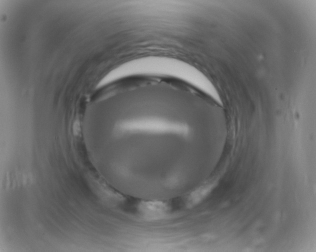 X0000081490137200701262103