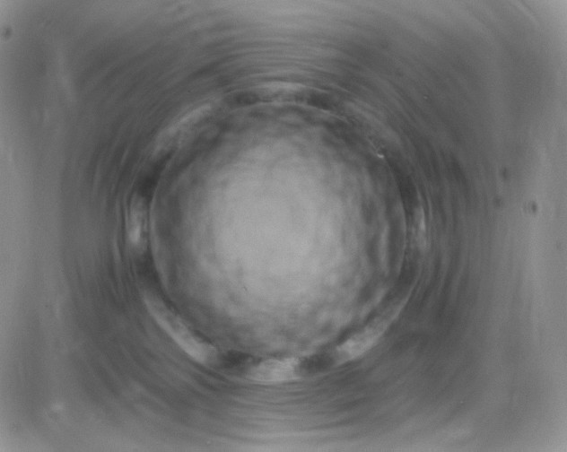 X0000081490138200701262103