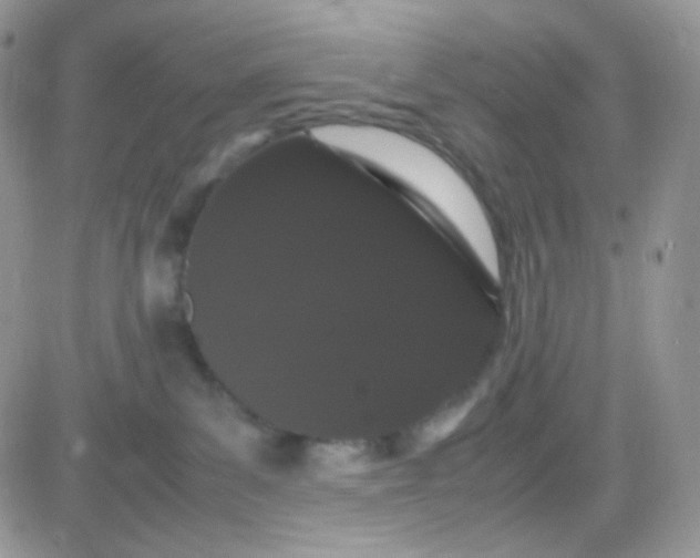 X0000081490139200701262103