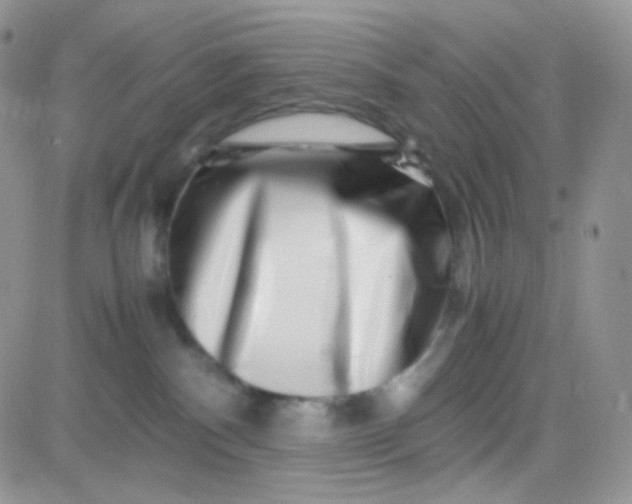 X0000081490140200701262103