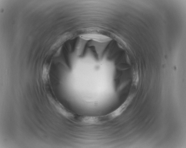 X0000081490142200701262103