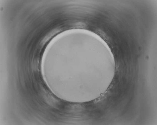 X0000081490146200701262102