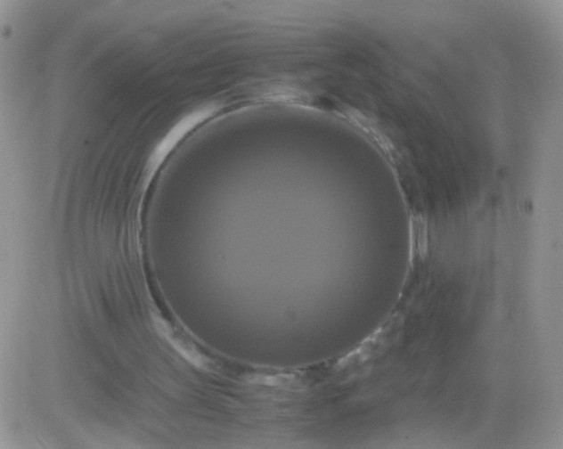 X0000081490147200701262102