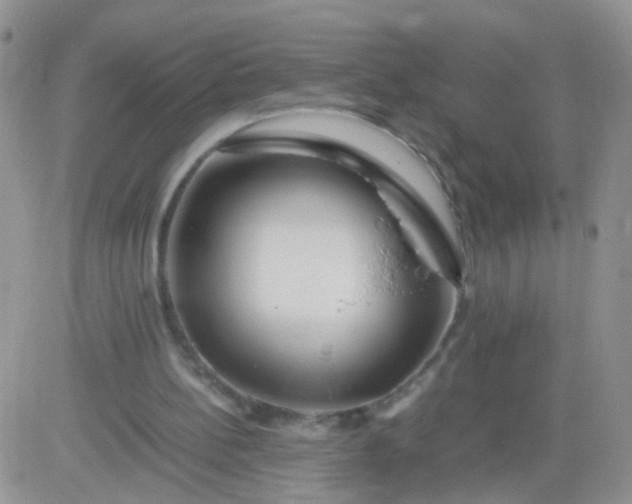 X0000081490148200701262102