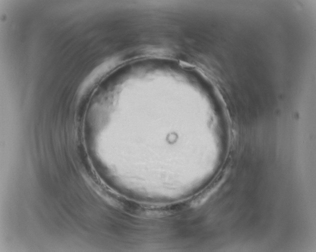 X0000081490149200701262102