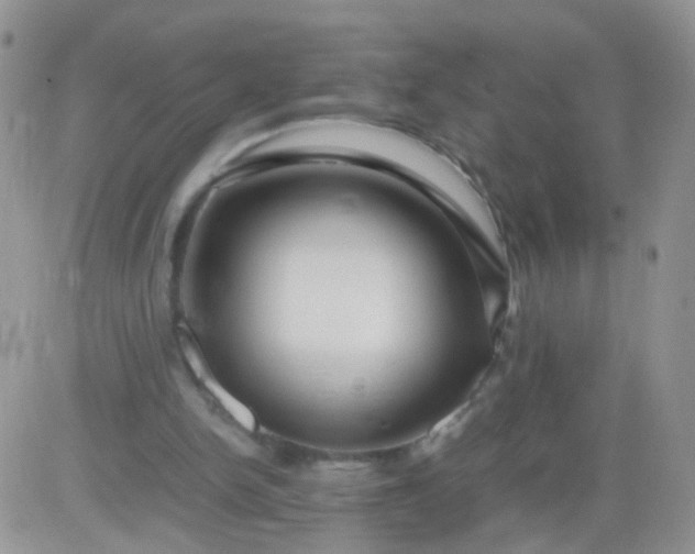 X0000081490150200701262102