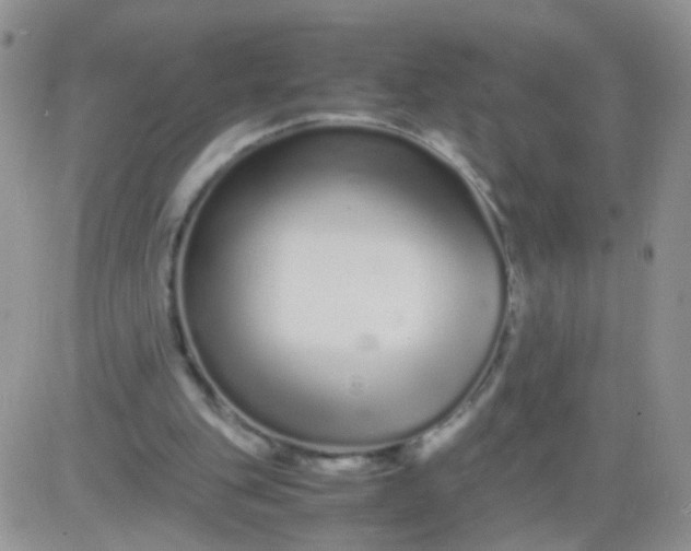 X0000081490151200701262102