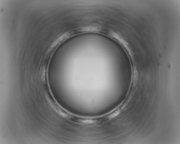 X0000081490153200701262102