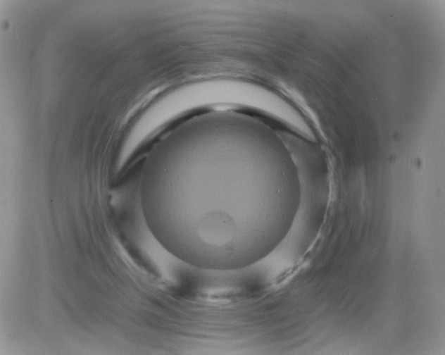 X0000081490154200701262102