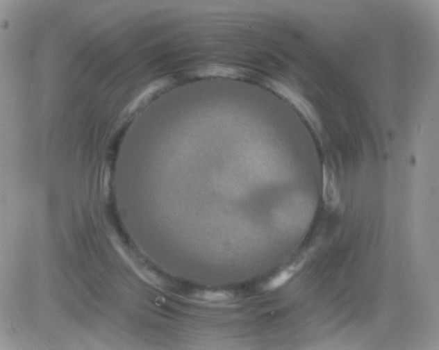 X0000081490157200701262102