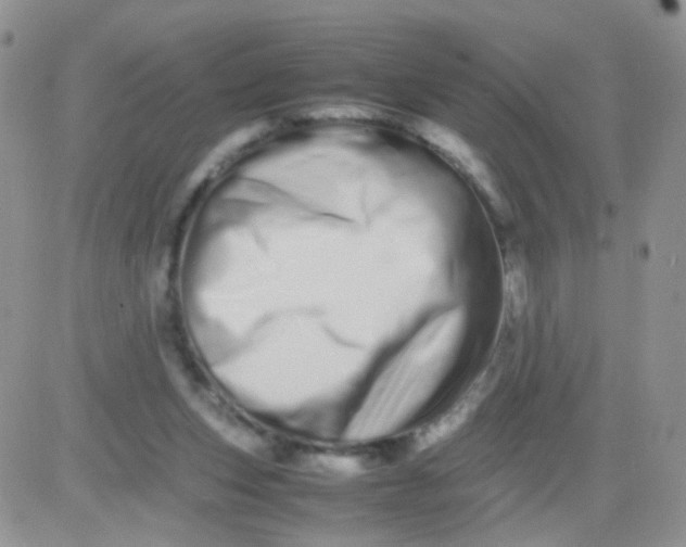 X0000081490159200701262102