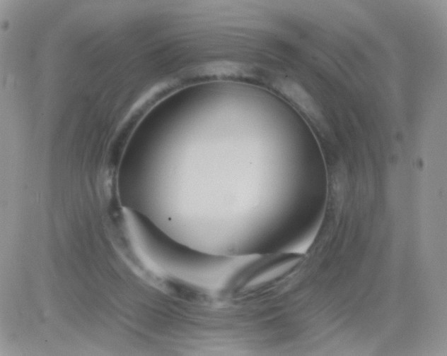 X0000081490160200701262102