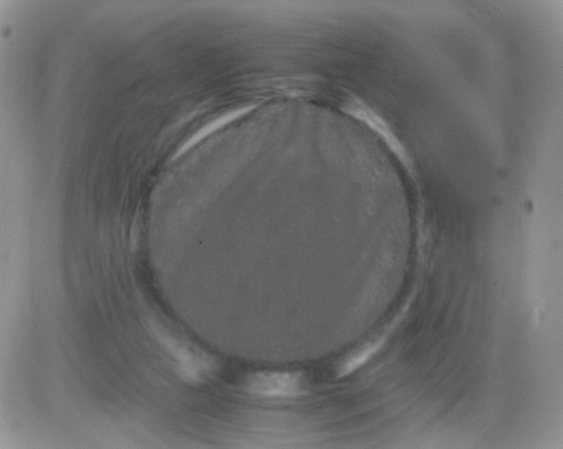 X0000081490161200701262102