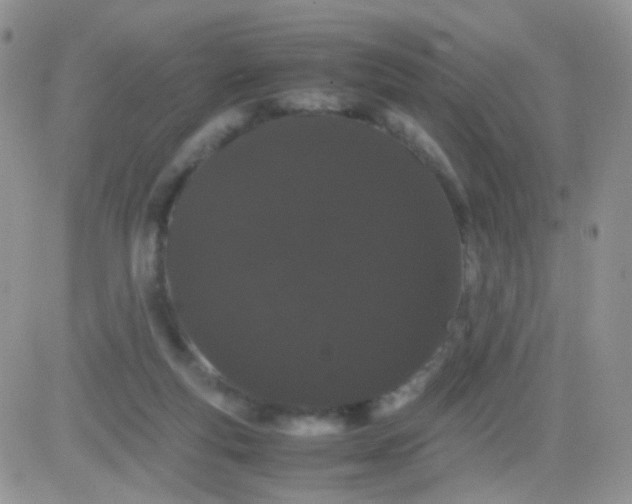 X0000081490163200701262102