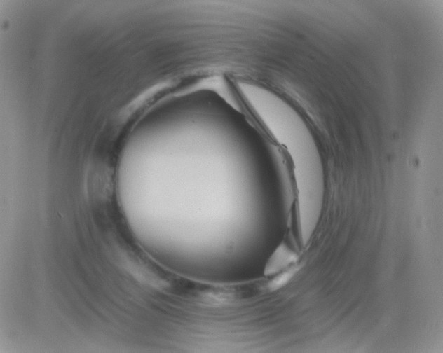 X0000081490164200701262102