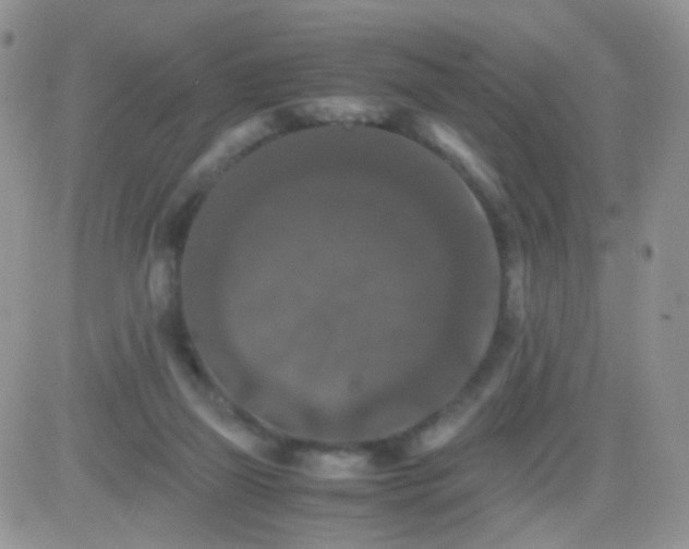 X0000081490165200701262102