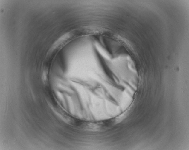 X0000081490166200701262102