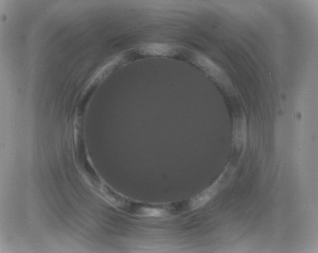 X0000081490167200701262103