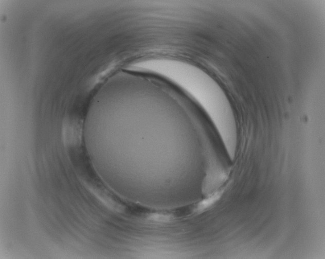 X0000081490168200701262103