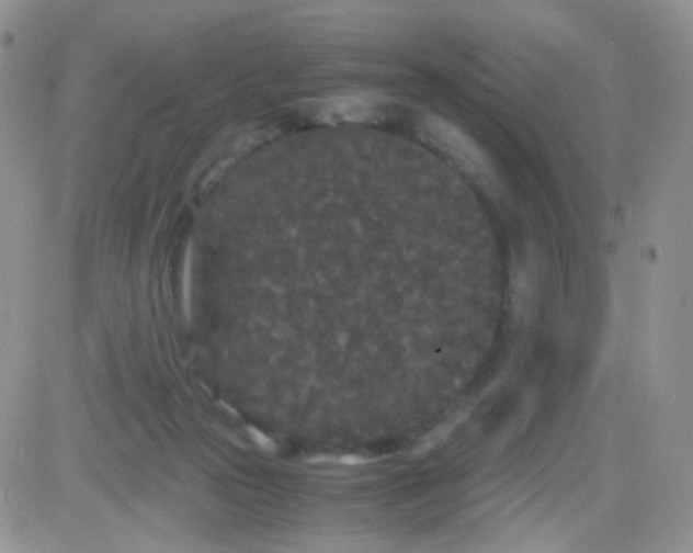 X0000081490169200701262103