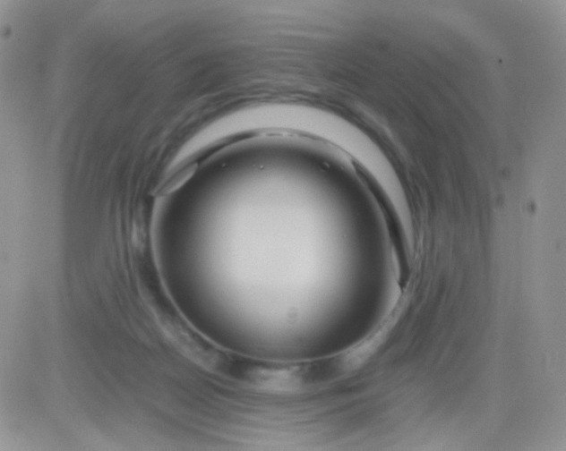 X0000081490170200701262103