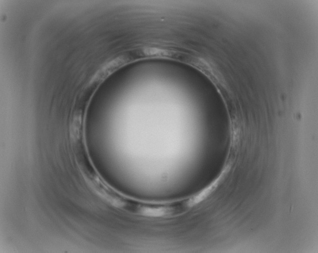 X0000081490171200701262103