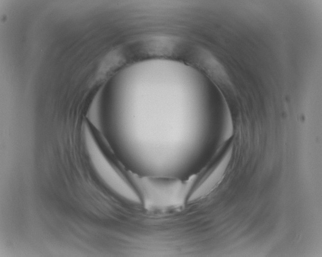 X0000081490172200701262103