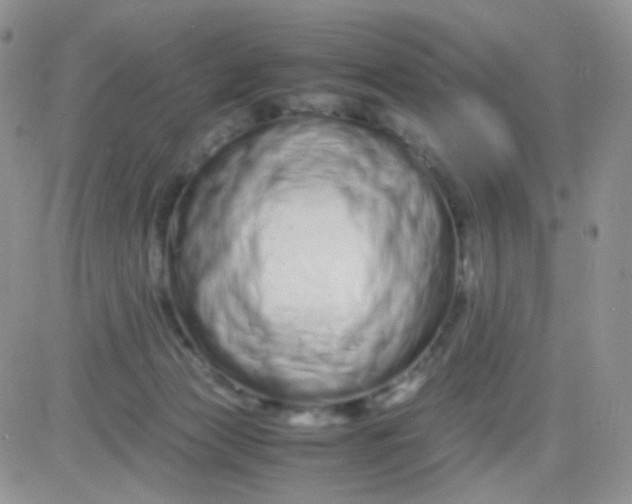 X0000081490173200701262103