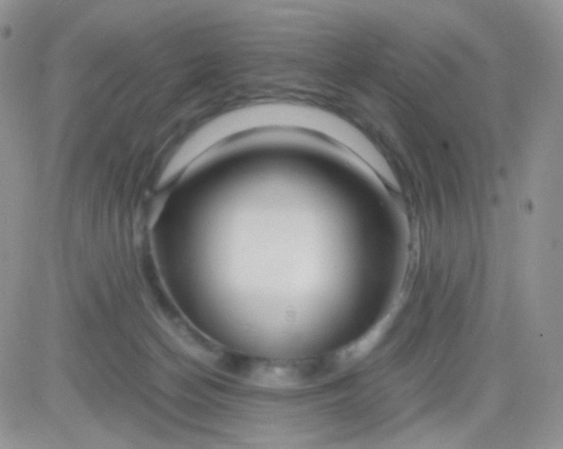 X0000081490174200701262103