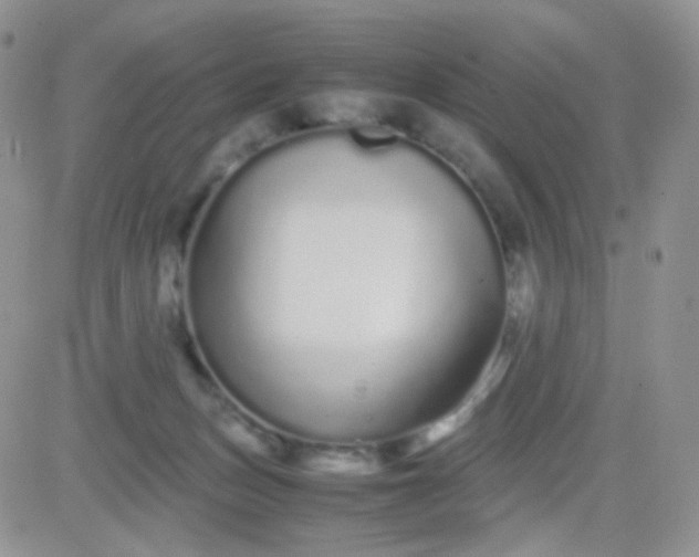 X0000081490175200701262103