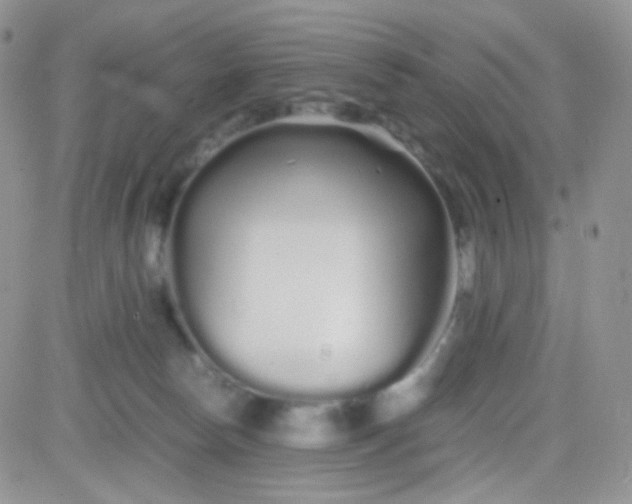 X0000081490178200701262103