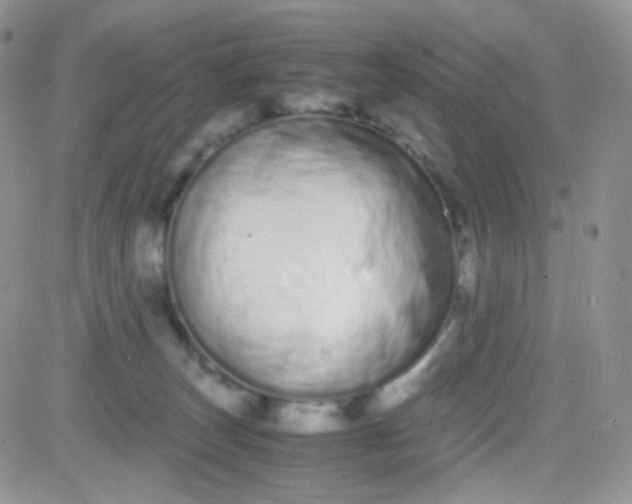 X0000081490179200701262103