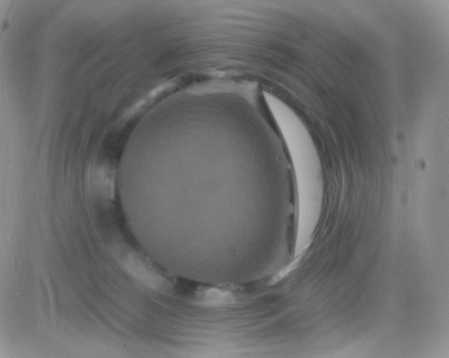 X0000081490180200701262103