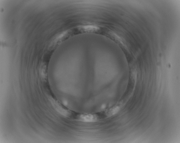 X0000081490181200701262103