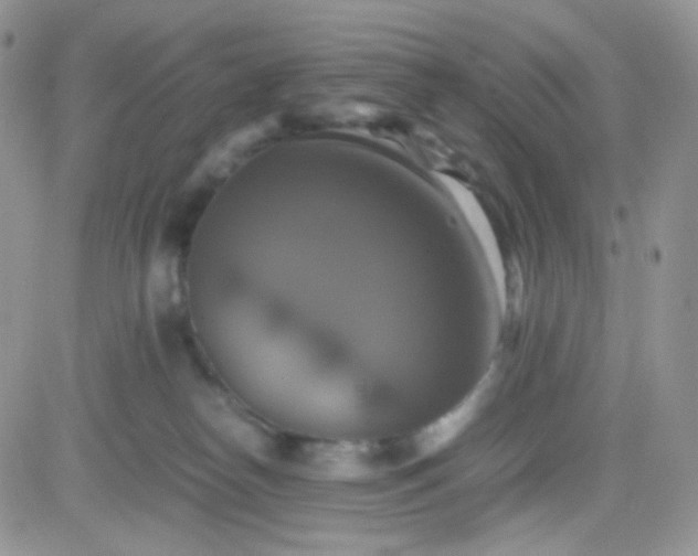 X0000081490182200701262103