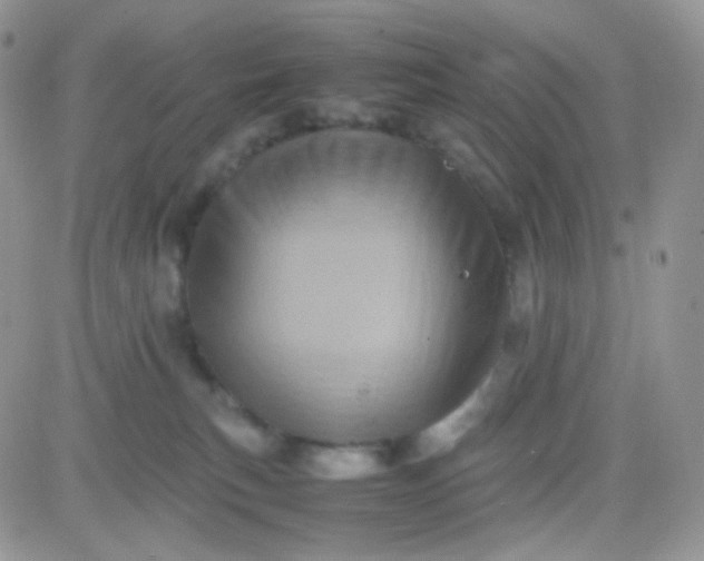 X0000081490183200701262103