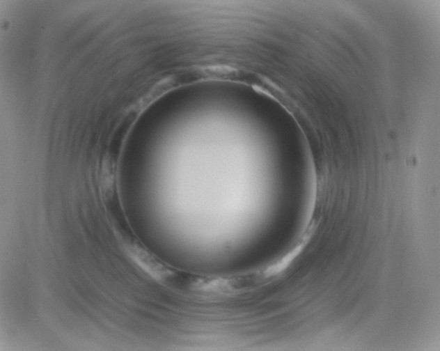 X0000081490186200701262103