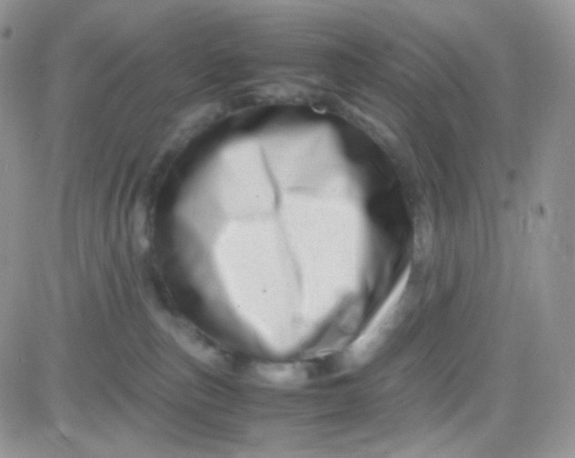 X0000081490187200701262103