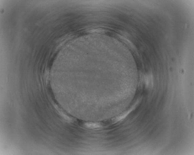 X0000081490189200701262103