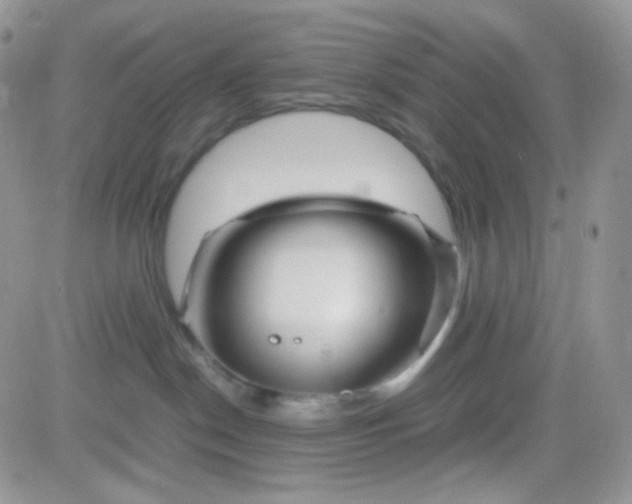 X0000081490190200701262103