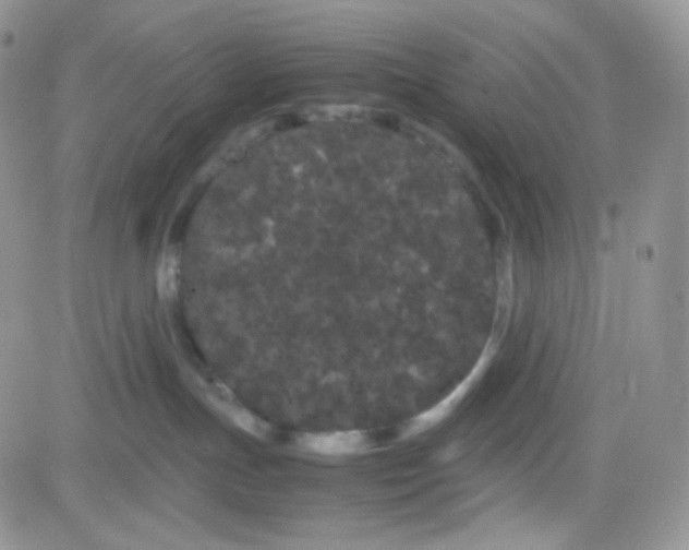 X0000081490191200701262103