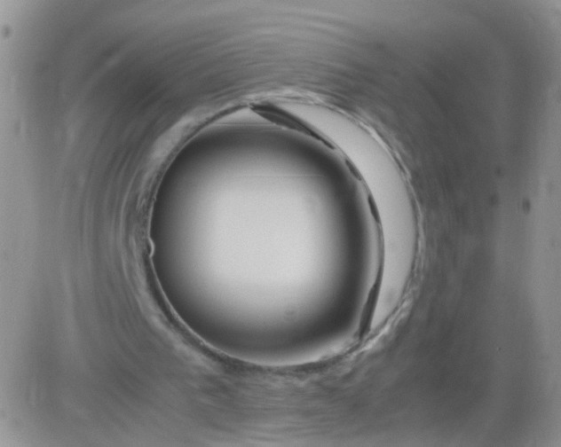 X0000081490193200701262102