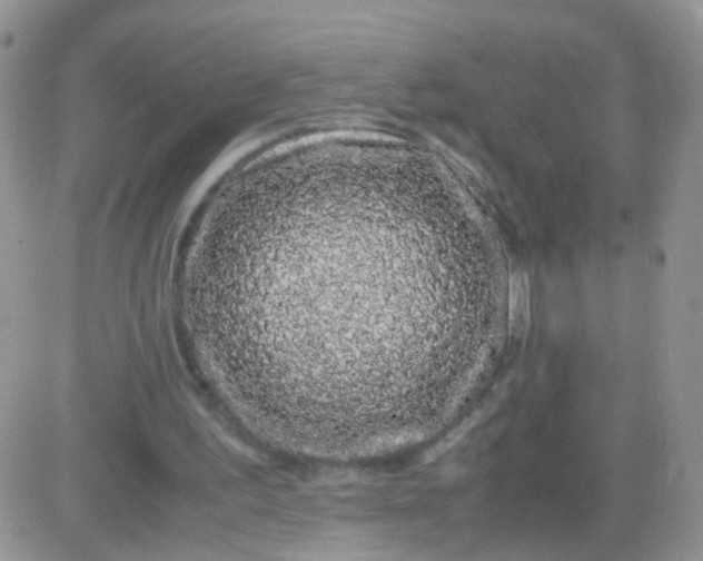 X0000081490195200701262102