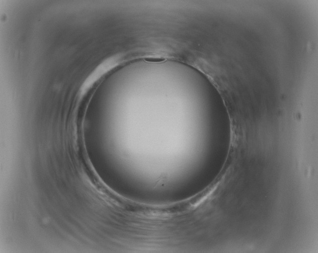 X0000081490198200701262102