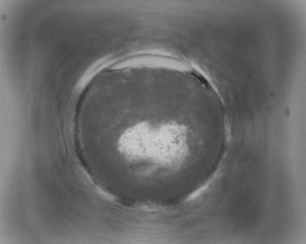 X0000081490199200701262102