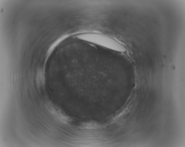 X0000081490200200701262102