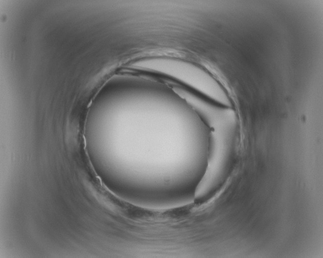 X0000081490201200701262102