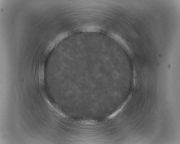 X0000081490202200701262102